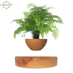 Magnetic Levitation Potted Aerial Ornaments Suspended Woodgrain Plant Bonsai Lamp Night Bedroom Fancy Lighting Table Light Kids