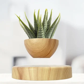 Levitatng Plant Pot Floating Plant Pot Small Bonsai Pot for Succulent Levitating Decoration for Home Office gift for Girl Friend