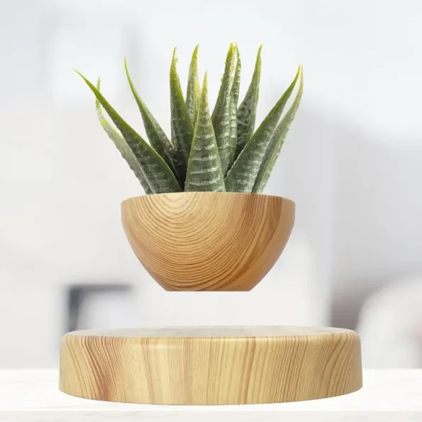 Levitatng Plant Pot Floating Plant Pot Small Bonsai Pot for Succulent Levitating Decoration for Home Office gift for Girl Friend