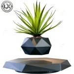 Floating Plant Succulents Potted Levitating Plant Pot Magnetic Levitation Flower Pot Rotating Planters Suspension for Home Gifts