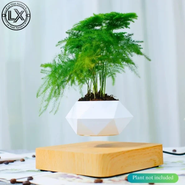 Levitating Plant Pots Floating Hanging Planter for Small Plants. Elevate Your Space Level with The Floating Plant Pot Stunning